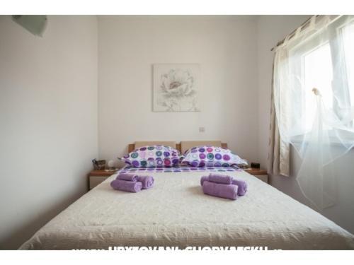 Apartment Zeljana 슬라티네 외부 사진